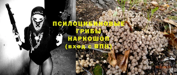 ГАЛЛЮЦИНОГЕННЫЕ ГРИБЫ Армянск