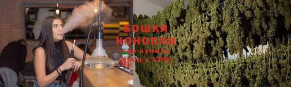 ГАЛЛЮЦИНОГЕННЫЕ ГРИБЫ Армянск