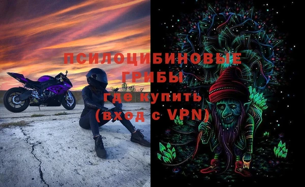 ГАЛЛЮЦИНОГЕННЫЕ ГРИБЫ Армянск